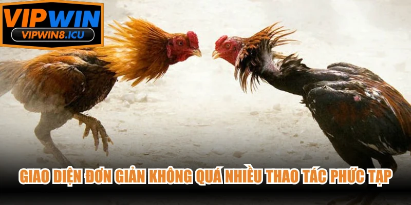 Giao diện đơn giản không quá nhiều thao tác phức tạp